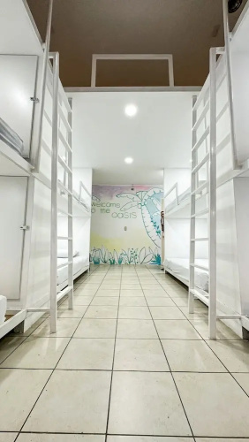 SJO Oasis Hostel