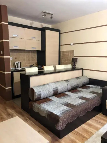 Apartment Janosevic