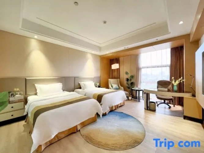 Executive Twin room