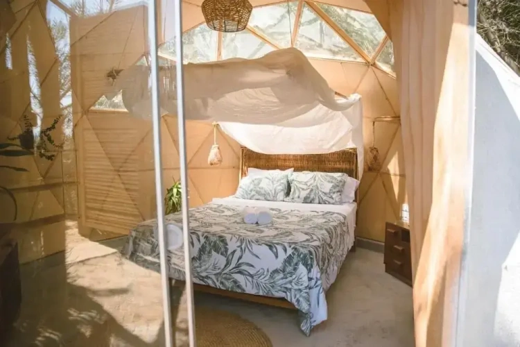 Standard Double room with garden view
