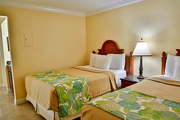 Deluxe room with land view
