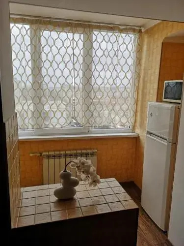 Central Park Apartment on Pushkin 33