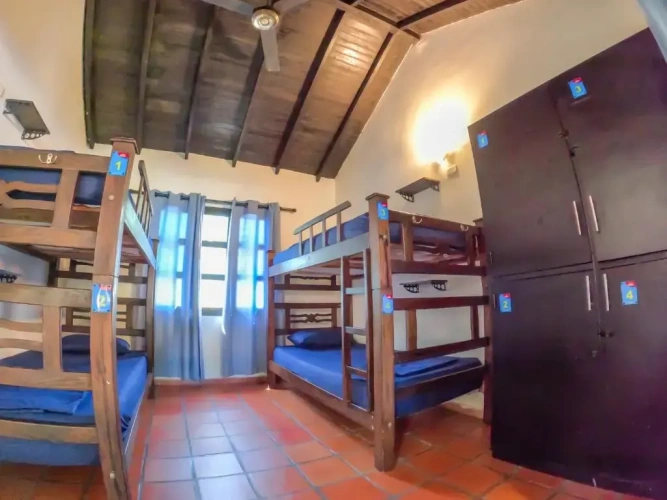 Bed in Dorm