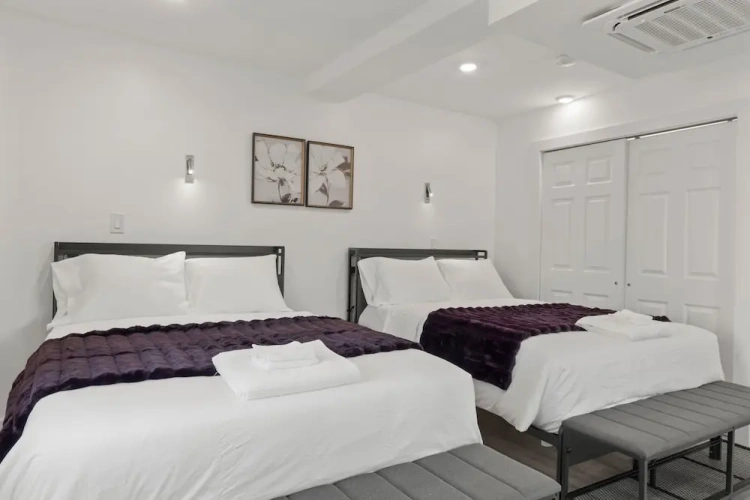 Comfort Suite