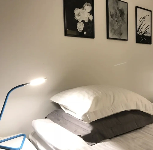 1 Bedroom Twin Apartment