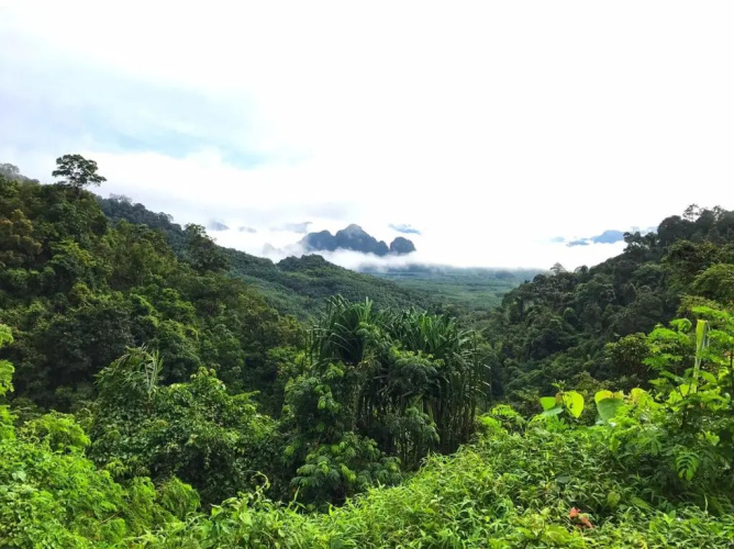 Khao Sok Homestay Resort