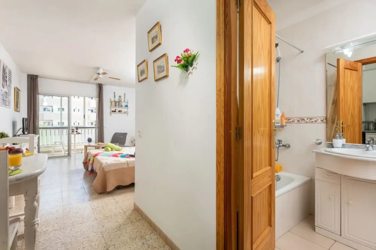 530 Big Studio with Terrace