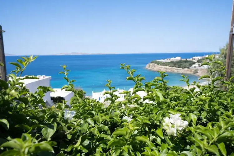 Zisis Pension