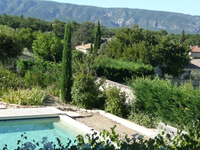 Standard Double room with pool view