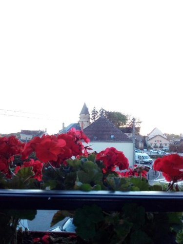 Standard Double room with garden view