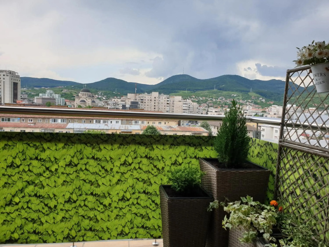 The View