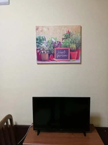 Classic Single room