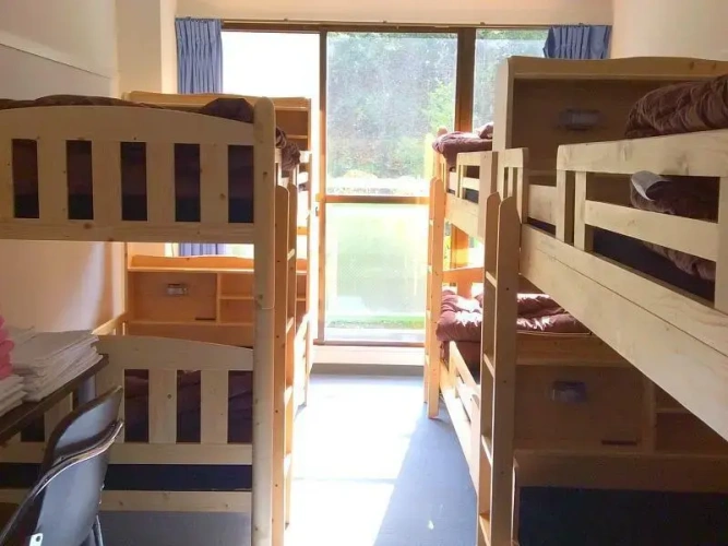 Bed in Dorm