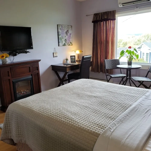 Superior Double Suite with view