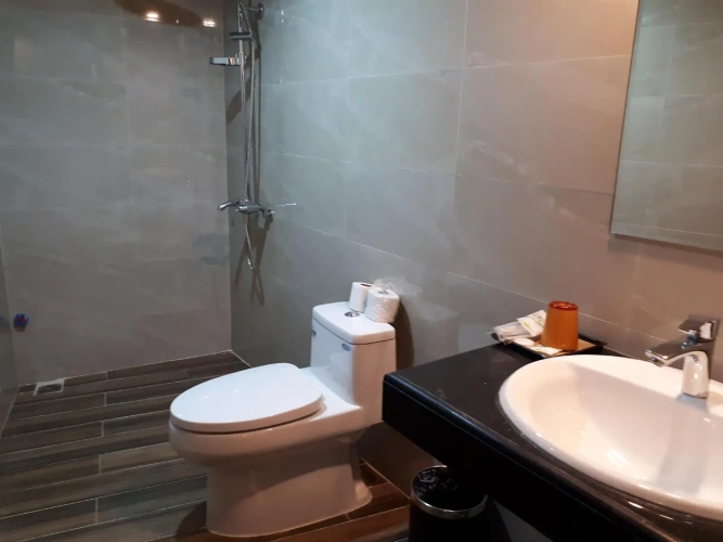 Deluxe Twin room with city view