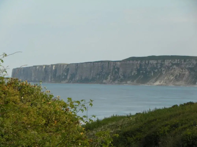 Nett's Coastal Escape