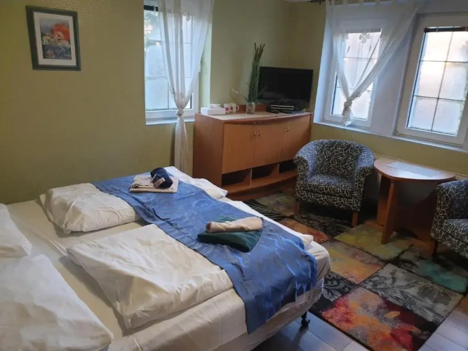 Standard Double room