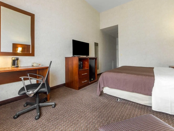Single Suite