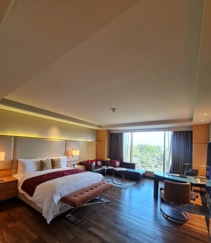 Executive Double Club room