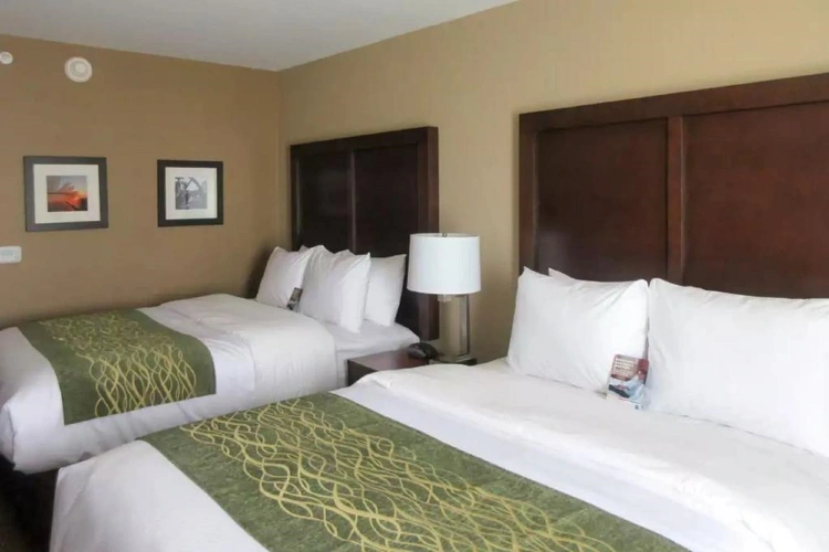 Guest rooms