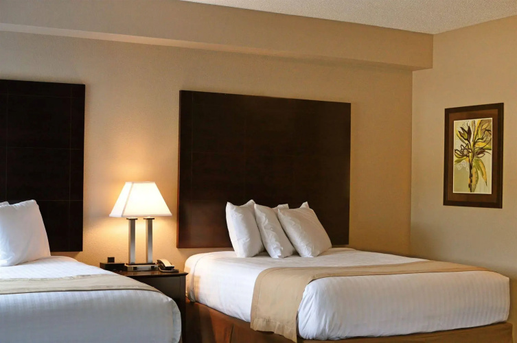 Qube Hotel