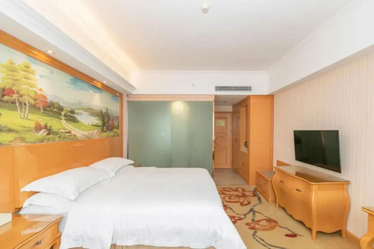 Vienna Hotel Shenzhen Lo Wu Control Point