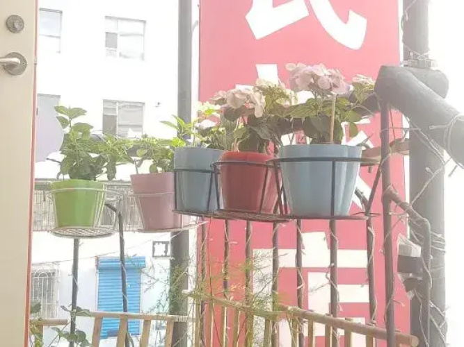 Wu's Hostel