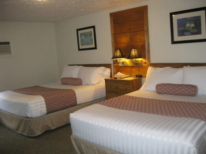 Standard Quadruple Basement room