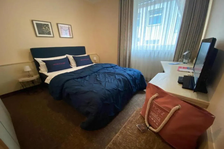 Harz Hotel & Spa Seela