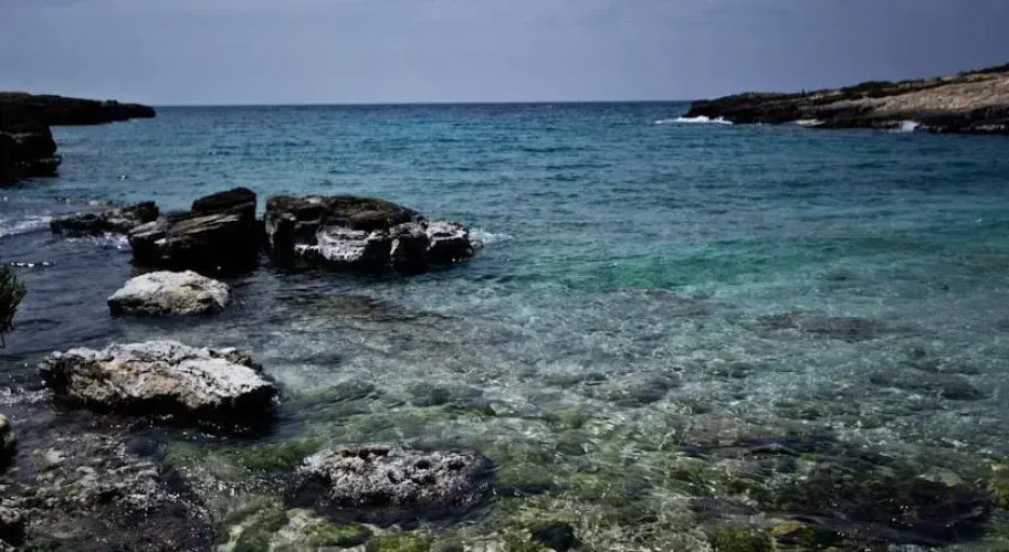 Appartamento Baia Verde
