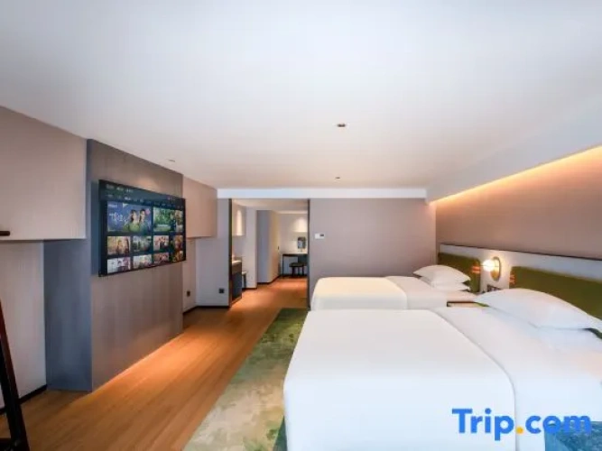 Economy Twin room