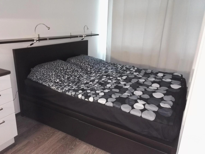 Apartment Satama