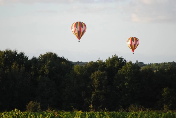 Au Coeur des Vignes
