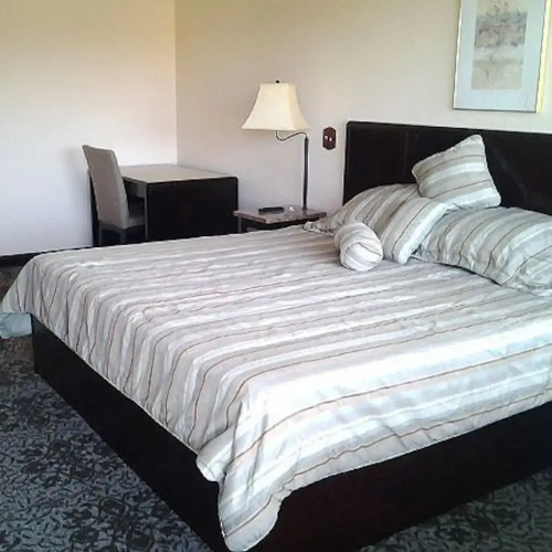 Value Inn McKenzie
