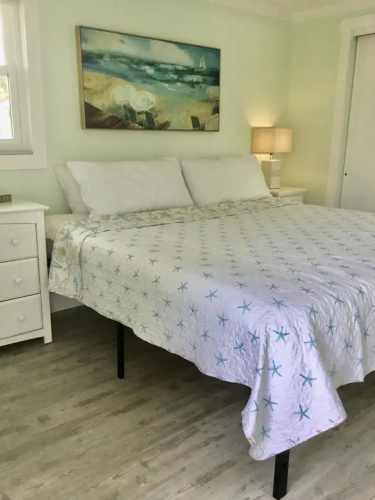 AMI Sand Dollar - 6403 B Holmes