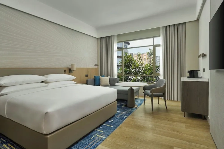 Standard Double Family room with city view