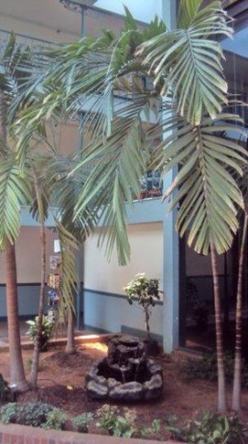 1 Bedroom Standard Double room