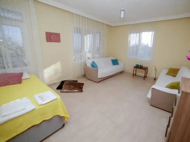 Kaktus Gokseki