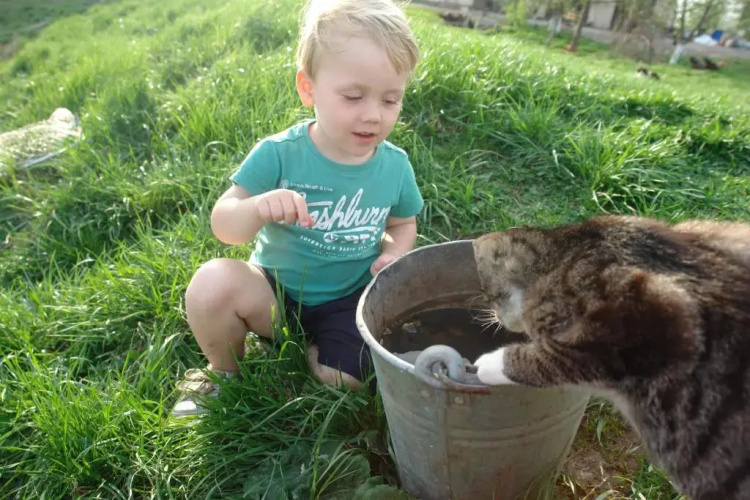 Agroturystyka Lolkowo