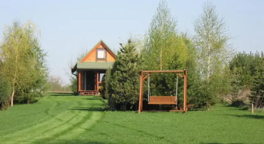 Przepiórka - Lisewo