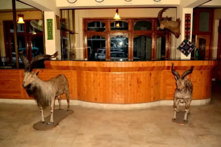 Hotel Shaheen
