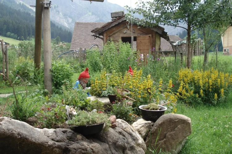 Bergdohle
