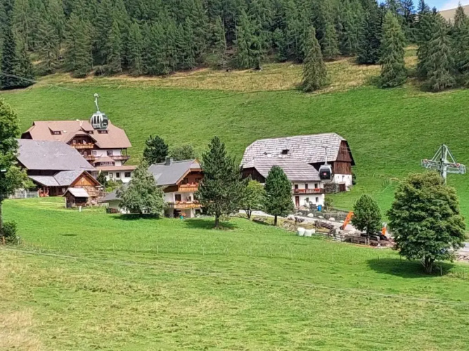 Almhaus Perfler