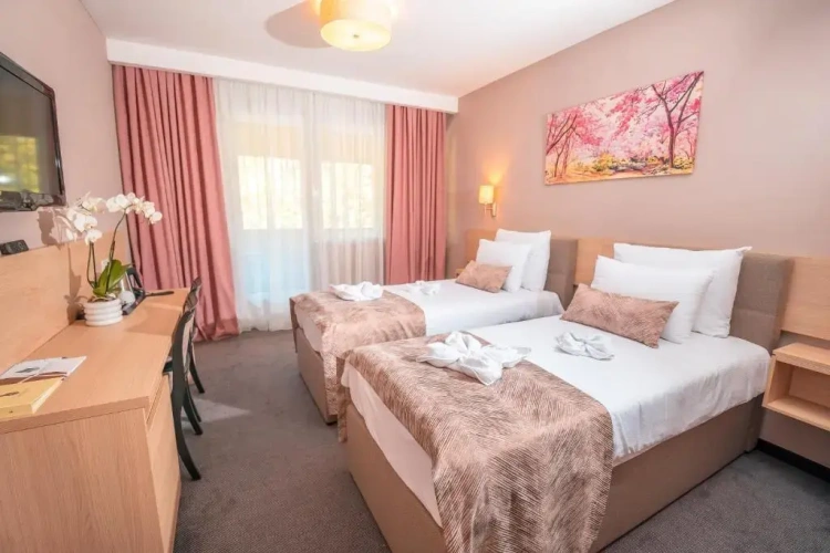 Deluxe Single room