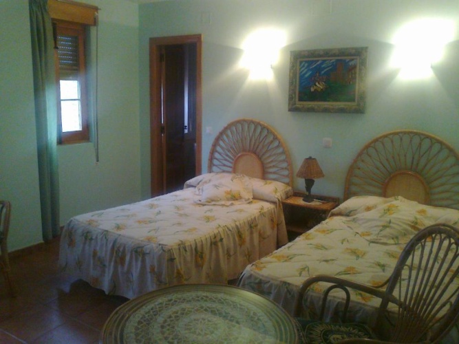 Standard Twin room with view
