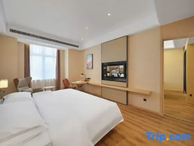 Superior Quadruple Suite