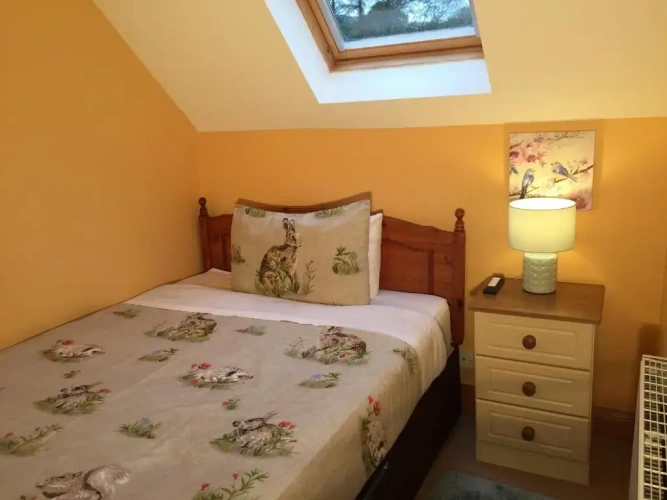 Standard Single room with view