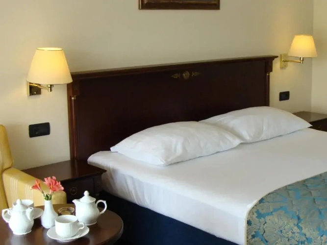 Standard Double room with balcony and with park view