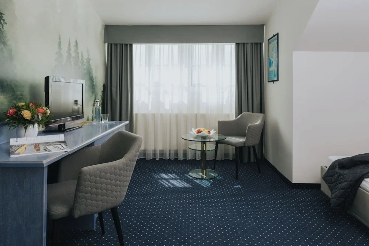 Economy Single room