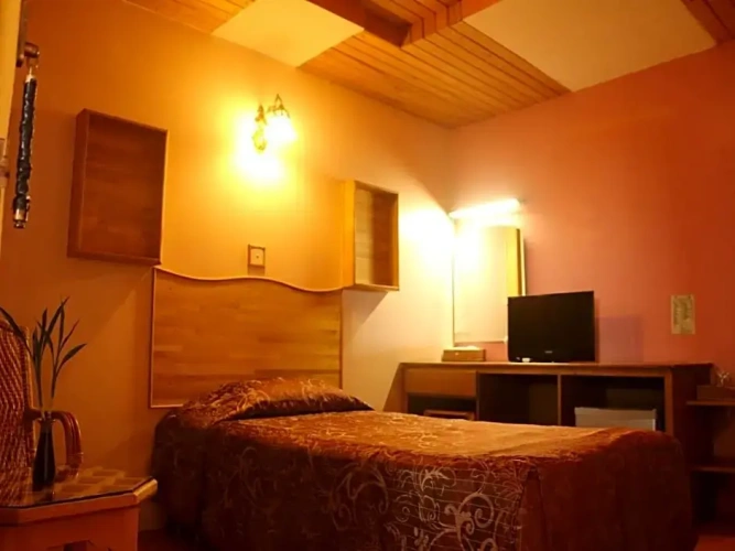 Superior Single room